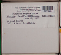 Image Associated With the Occurence